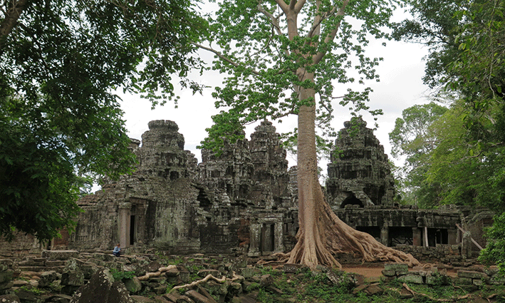 La naturaleza se abre camino en el templo de Banteay Kdei