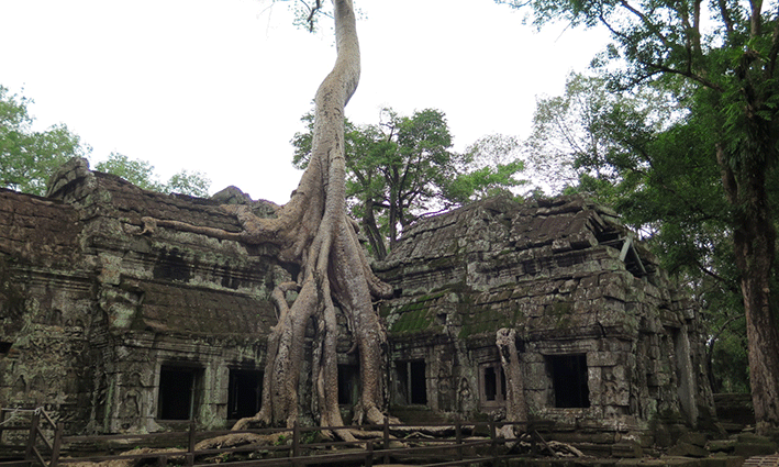 Ta Prohm es, sin duda, el templo más mediático de todos